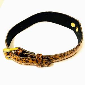 pre-loved auth BOTTEGA VENETA small Dog Collar
